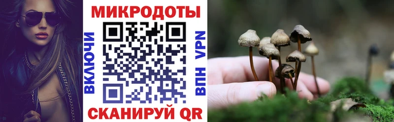 Галлюциногенные грибы MAGIC MUSHROOMS  цена   Теберда 